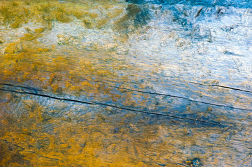 Slice of wood with annual rings. Abstract texture or background