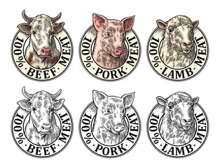 Cows, pig, sheep head. Vintage vector engraving