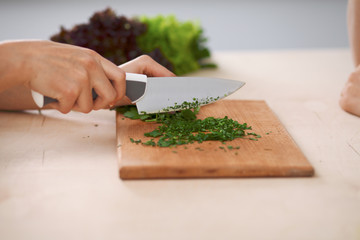 Close-up of human hands cooking vegetables salad in kitchen. Healthy meal and vegetarian concept