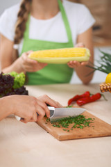 Close-up of human hands cooking vegetables salad in kitchen. Healthy meal and vegetarian concept