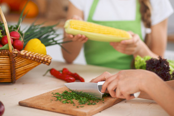 Close-up of human hands cooking vegetables salad in kitchen. Healthy meal and vegetarian concept