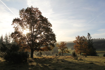 Obraz premium Herbstlandschaft