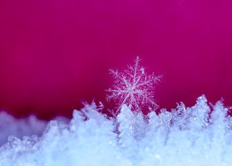 natural snowflakes on snow