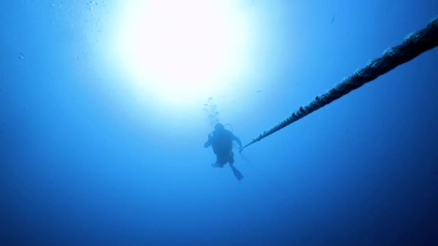 Scuba diver climbing down a rope into the ocean
