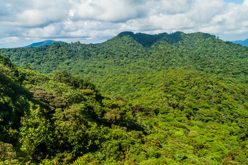 Fototapeta na wymiar Cloud forest covering Reserva Biologica Bosque Nuboso Monteverde, Costa Rica