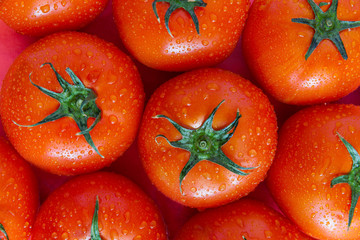 bright red tomatoes