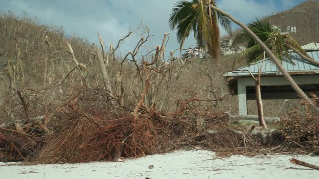 Post Hurricane Irma 2017 devastation, Trunk Beach, St John, United States Virgin Islands