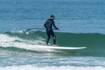 Stand up paddle surfer