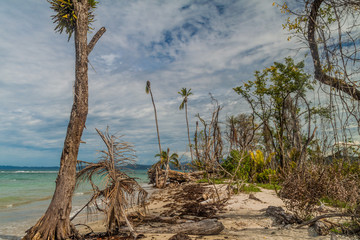 Coast in Cahuita National Park, Costa Rica