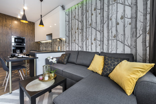 Modern interior design small apartment