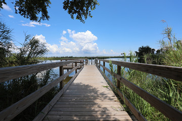 Fototapeta premium wood dock walkway in waterway