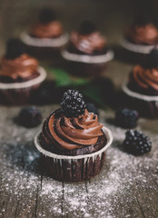 Dark moody blackberry chocolate cupcakes on the rustic table with greens and sugar dust