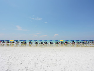 umbrella chairs by the ocean