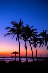 Tropical Palm Sunset