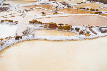 Terraced salt pans also known as "Salineras de Maras", among the most scenic travel destination in Cusco Region, Peru. View from above of the colorful ponds' reflecting surfaces.