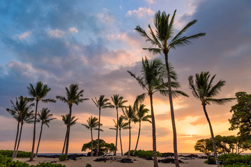 Fototapeta na wymiar Sunset at Anaeho'omalu Beach with Palm Trees