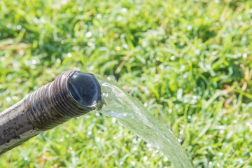 watering lawn with hose
