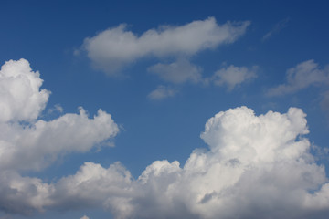 Fototapeta na wymiar 青空と雲「空想・雲のモンスターたち」