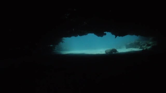 POV swimming through an underground cave in Key Largo, Florida