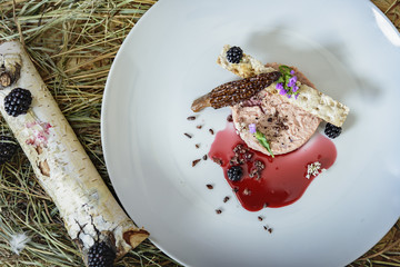 Fine dining dish, raw beef with blackberry sauce and smoked mushroom