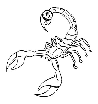 Scorpio - a scorpion with the symbol for Scorpio on its stinger. Outline.