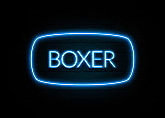 Boxer  - colorful Neon Sign on brickwall
