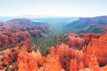 Bryce Canyon Utah in Summer