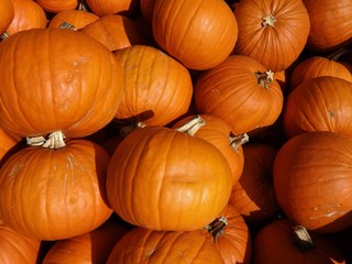 Pumpkin pile in a market for the holidays