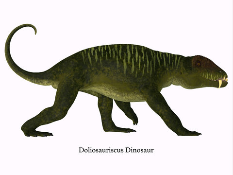 Doliosauriscus Dinosaur Side Profile - Doliosauriscus is an extinct genus of therapsid carnivorous dinosaur that lived in Russia in the Permian Period.