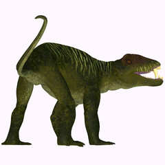 Fototapeta na wymiar Doliosauriscus Dinosaur Tail - Doliosauriscus is an extinct genus of therapsid carnivorous dinosaur that lived in Russia in the Permian Period.