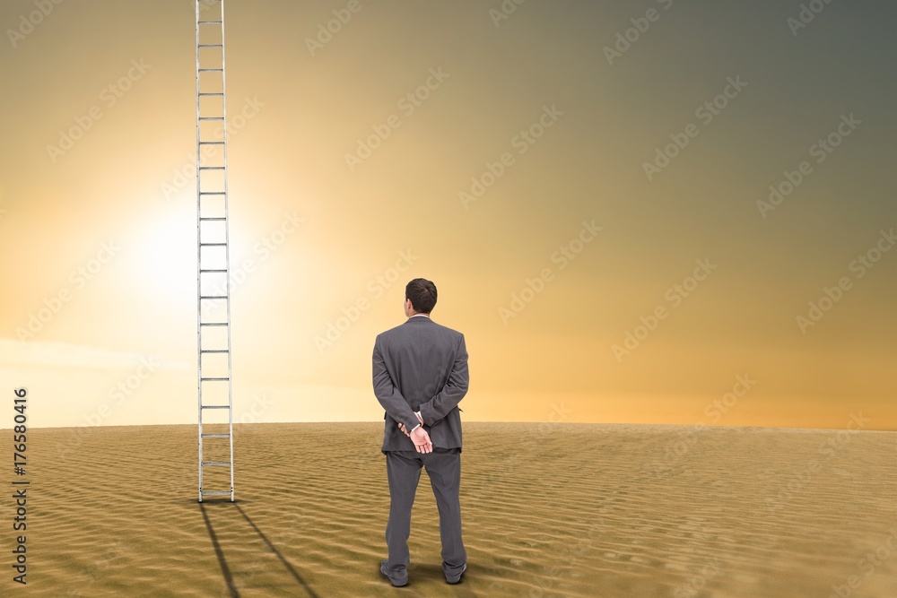 Poster composite image of rear view of classy businessman posing