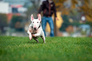 Run, Emma run
