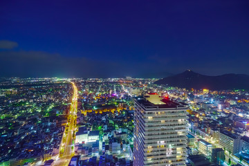 Night view from Gifu City Tower 43