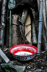 Chinese Washing Bowl, Guangxi, China