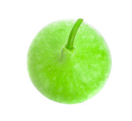 Lagenaria siceraria youg on white background .