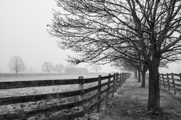 Foggy Morning at the Farm
