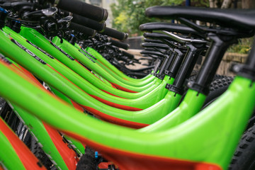 A Row of Green Mountain Bikes