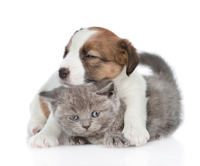 Jack russell puppy hugging a kitten.  isolated on white background