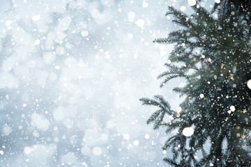 Christmas tree pine branch and snowfall on sky background. vintage color tone and rustic style.