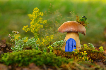 Fairy mushroom house with a door and chimney. Fairytale forest illustration. Fairytale template for...
