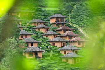 House from clay in tea plantation at Lee Wine Ban Ruk Thai Village, Pai, Mae Hong Son Thailand