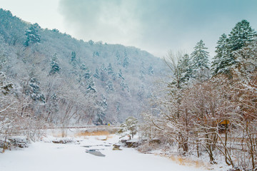 winter landscape with snow covered trees and frozen valley