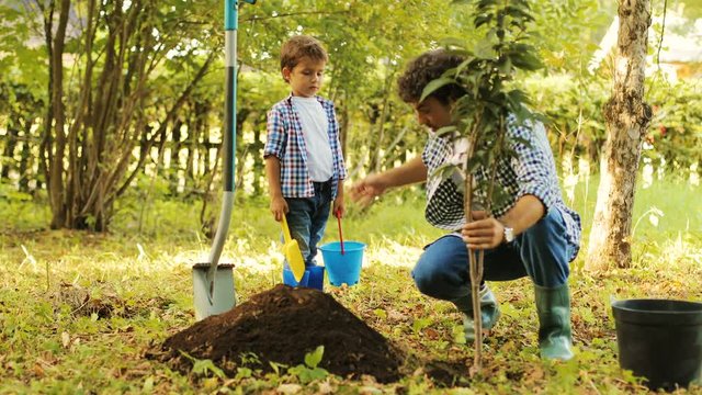Portrait of a little boy and his dad planting a tree. Man takes the tree from the bucket and puts it into the hole. Then he shows and explains something to his son. Then they smile. Blurred background