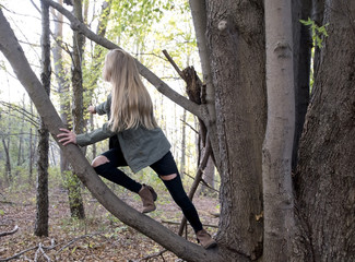 young Caucasian girl climbing tree branch in autumn woods