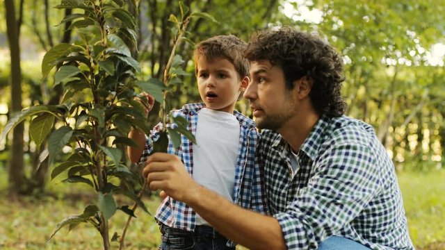 Closeup. Portrait of a little boy and his dad planting a tree. Dad explains something to his son. They touch the branches. Blurred background