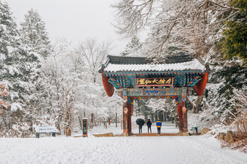 Asian temple Odaesan Woljeongsa with fir tree road of snowy winter in Korea - obrazy, fototapety, plakaty
