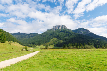 Fototapeta na wymiar Mt. Gurnwandkopf and Mt. Hörndlwand near Ruhpolding