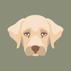 dog puppy  face  head   vector illustration   flat style front side