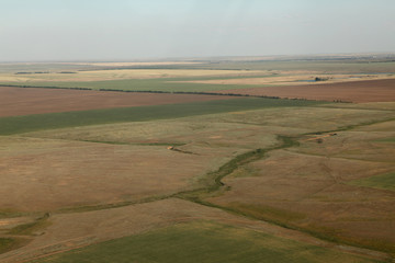Fototapeta na wymiar wheat fields