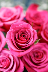 バラの花